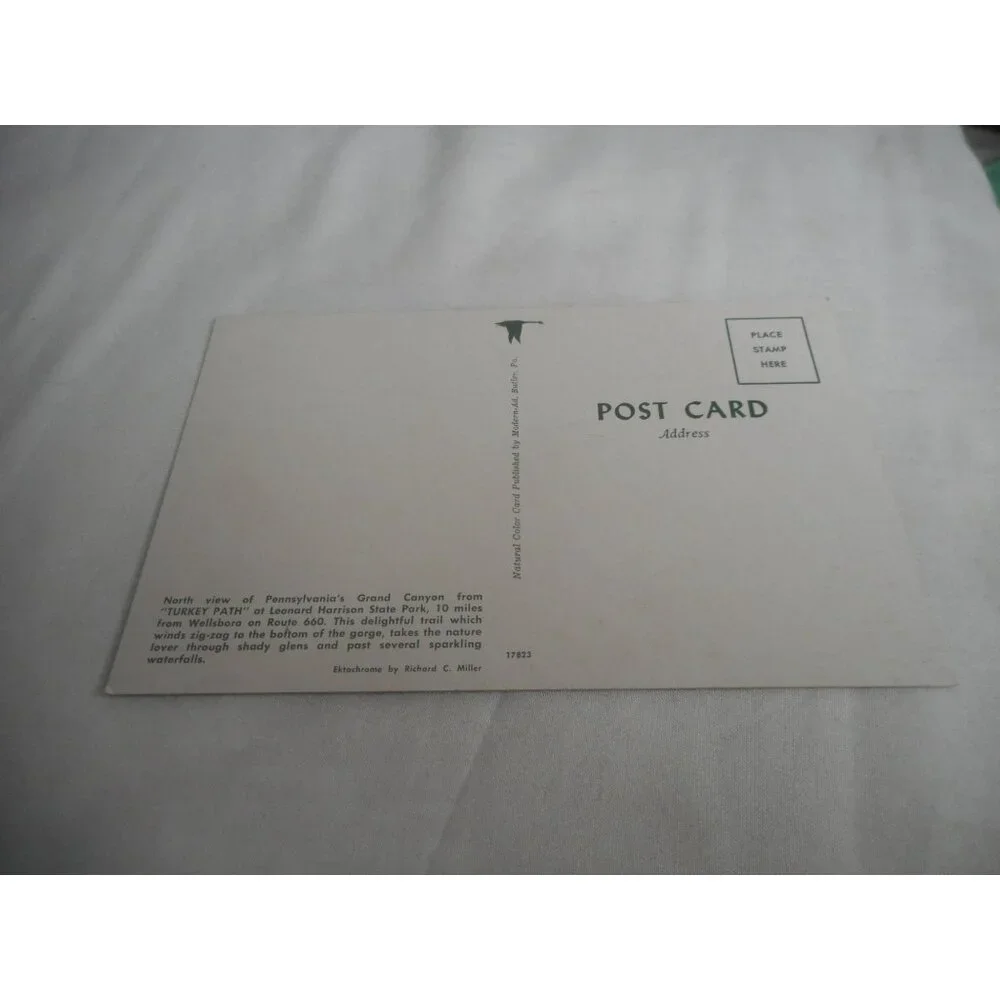 Vintage Postcard unposted Grand Canyon Pennsylvania fall nature 1950s